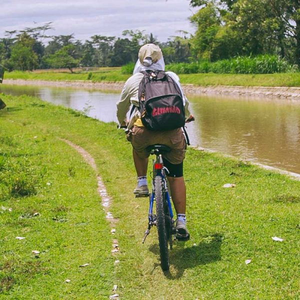 Cycle from Borobudur to Prambanan